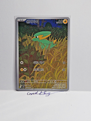 エレナ ホロカード ポケモンカードゲーム free-world_cardbox-h-08