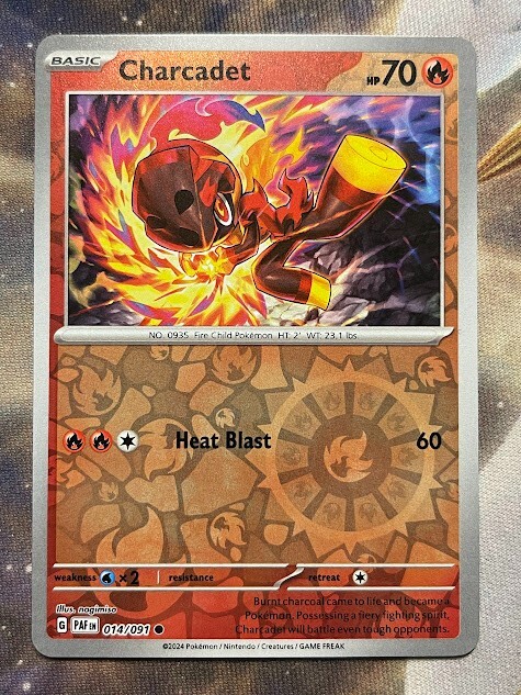 Pokmon TCG Charcadet 014/091 Paldean Fates Reverse Holo Common | eBay
