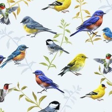 P B Textiles Song Birds Digital Birds Multi 04329 1/2 Yard 100 Cotton