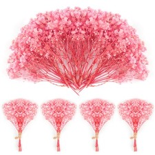 70PCS Mini Dried Baby's Breath Flowers 4000 Pressed Real Natural Gypsophila B...