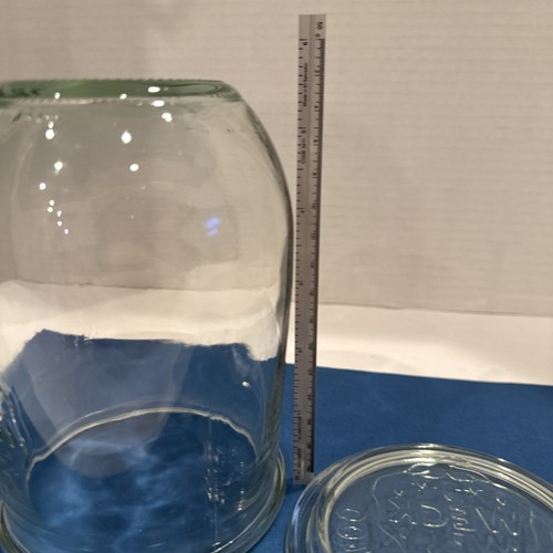 Tarro de vidrio transparente Weck Rundrand-Glas 100 580 ml fresa Alemania - Imagen 8 de 8