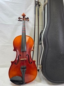 T G Pfretzschner Violin | eBay