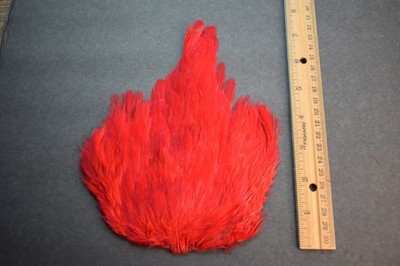 Lot 56,   Dyed Red India Hen Back Saddle Feathers for Fly Tying