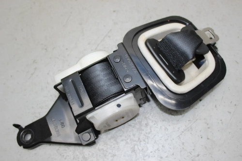 Roof seat belt