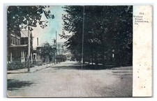 1911 Johnstwn, PA Postcard- WALNUT STREET Houses Trees
