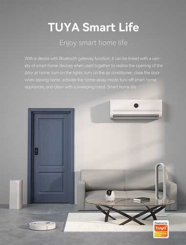 Smart Lock Slim Biometric Lock Tuya Smart, RFID, Code, WiFi, Cloud F2TY - Picture 10 of 11