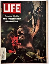 March 28, 1969 LIFE Magazine ORANGUTAN 1960s Advertising ads add  FREE SHIP 3 27