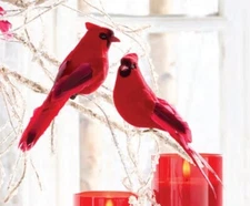 2-PK 7" CLIP-ON CARDINAL ORNAMENTS Red CHRISTMAS NEW RAZ Imports 4053314