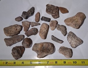 Texas Misc Fossil Marine Reptile Bones 2lb LOT Mosasaur Plesiosaur Ozan Formatio
