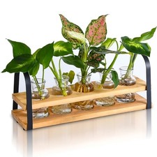 Plant Propagation Station with Wood Stand, Desktop Terrarium for Hydroponic,