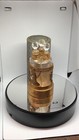 Antique 1913 Charles Fay Muses Perfume Set With Very Rare Lid — photo 3