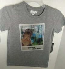  Moving Dinosaur Lenticular Gray T Shirt   Size 5/6 New 10Threads