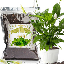 Organic Peace Lily Potting Soil 1L Indoor Planting Mix for Healthy Houseplants