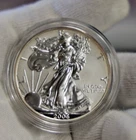 2006 P US Reverse Proof Silver Eagle $1 Original Capsuale