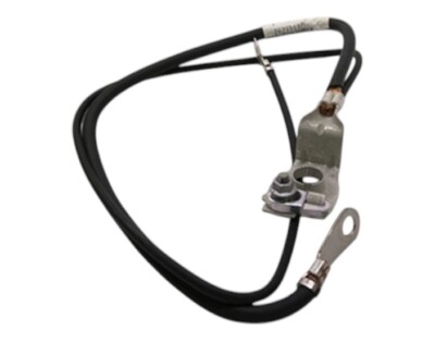 GM  NEGATIVE BATTER (SLP) 25850289 NEW OEM 25850289 25850289
