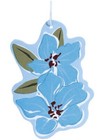 Bild 4 von 15