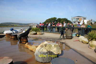 Photo 12x8 Sea Lion training and feeding at the Welsh Mountain Zoo Mochdre c2015