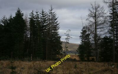 Photo 6x4 Clearing in Carglas Plantation Blanefield/NS5579 Looking acros c2006