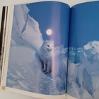 Bild 7 von 13