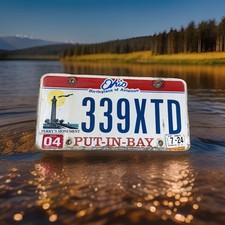 Expired Ohio License Plate Put In Bay Perry’s Monument 339XTD