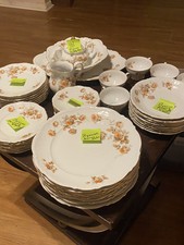 MITTERTEICH Norway Rose GERMANY 48 Pieces