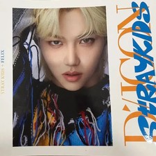 Stray Kids Felix Official Photo Book DIICON