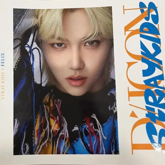 Stray Kids Felix Official Photo Book DIICON