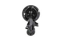 Kavo Parts StoßDäMpfer SSA-4002 FüR Hyundai KIA