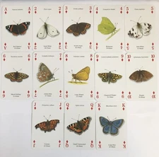 Butterflies Bugs Insects World Discovery Art Playing SWAP CARDS Diamonds Set Lot