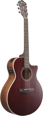 IBANEZ AE100-BUF Elektro-Akustik-Gitarre