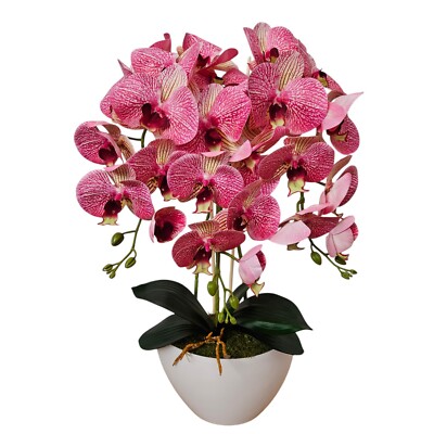 Damich Künstliche Orchidee, Gummi, weißer Topf, 3pgrk2