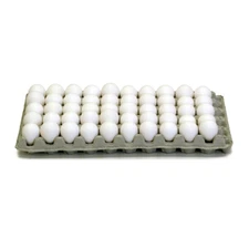NEW Quail Egg Trays Cartons Flats - Pkg. 100 Farms Crafts Hobby Etc