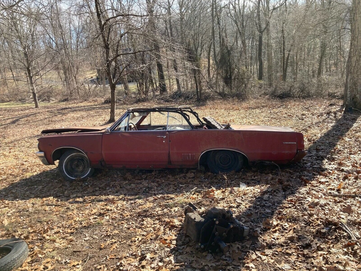 An Iconic Pontiac LeMans Convertible Needs a Savior