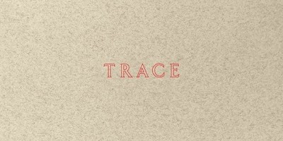 Jenny Holzer Jenny Holzer: Trace (Paperback) (UK IMPORT)