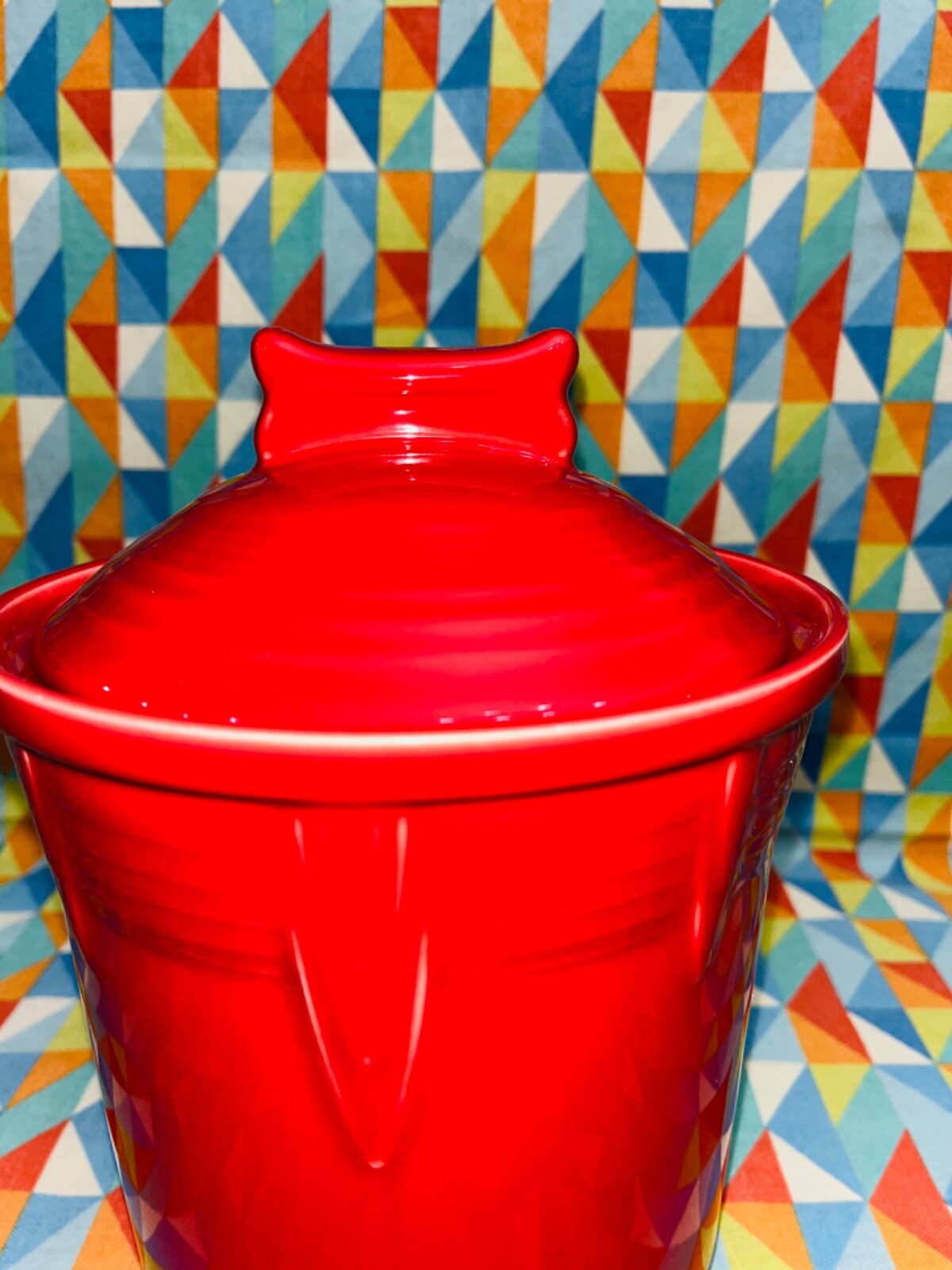 Fiestaware New Dog Bone Pet Treat Jar Medium Fiesta Canister Scarlet