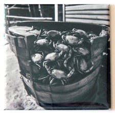 Crabs in a Barrel FRIDGE MAGNET