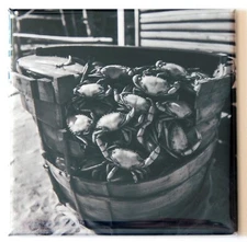 Crabs in a Barrel FRIDGE MAGNET