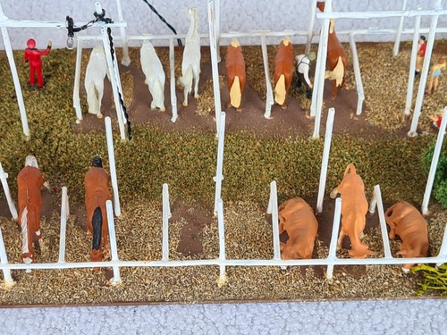 H0 1:87 Preiser Zikus Circus Diorama Exposición de animales con figuras y animales, iluminado - Imagen 15 de 24