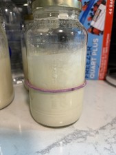 Sourdough Starter Jar