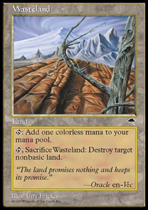 MTG English Wasteland Medium Play Normal Tempest