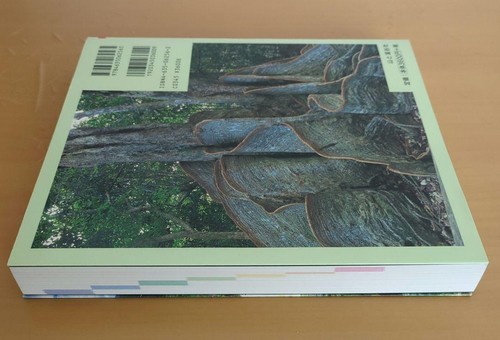 Giant Trees: 846 trees across Japan Continued - Foto 4 di 5