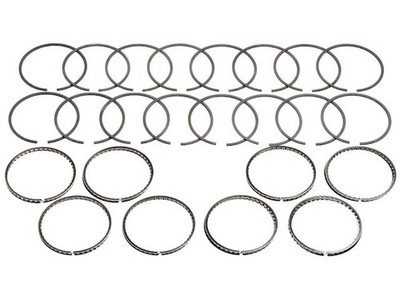 Piston Ring 39QJYQG79 for Aspen B100 Van B200 B250 B300 B350 CB300 Challenger