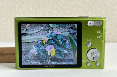 Sony Cyber-shot DSC-W320 Green Digital Camera 14.1MP 4x Tested MIJ