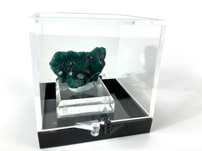 Dioptase Kristall Präparat N tola Mine Mindouli Kongo verpackt Sammler Mineral 3 cm