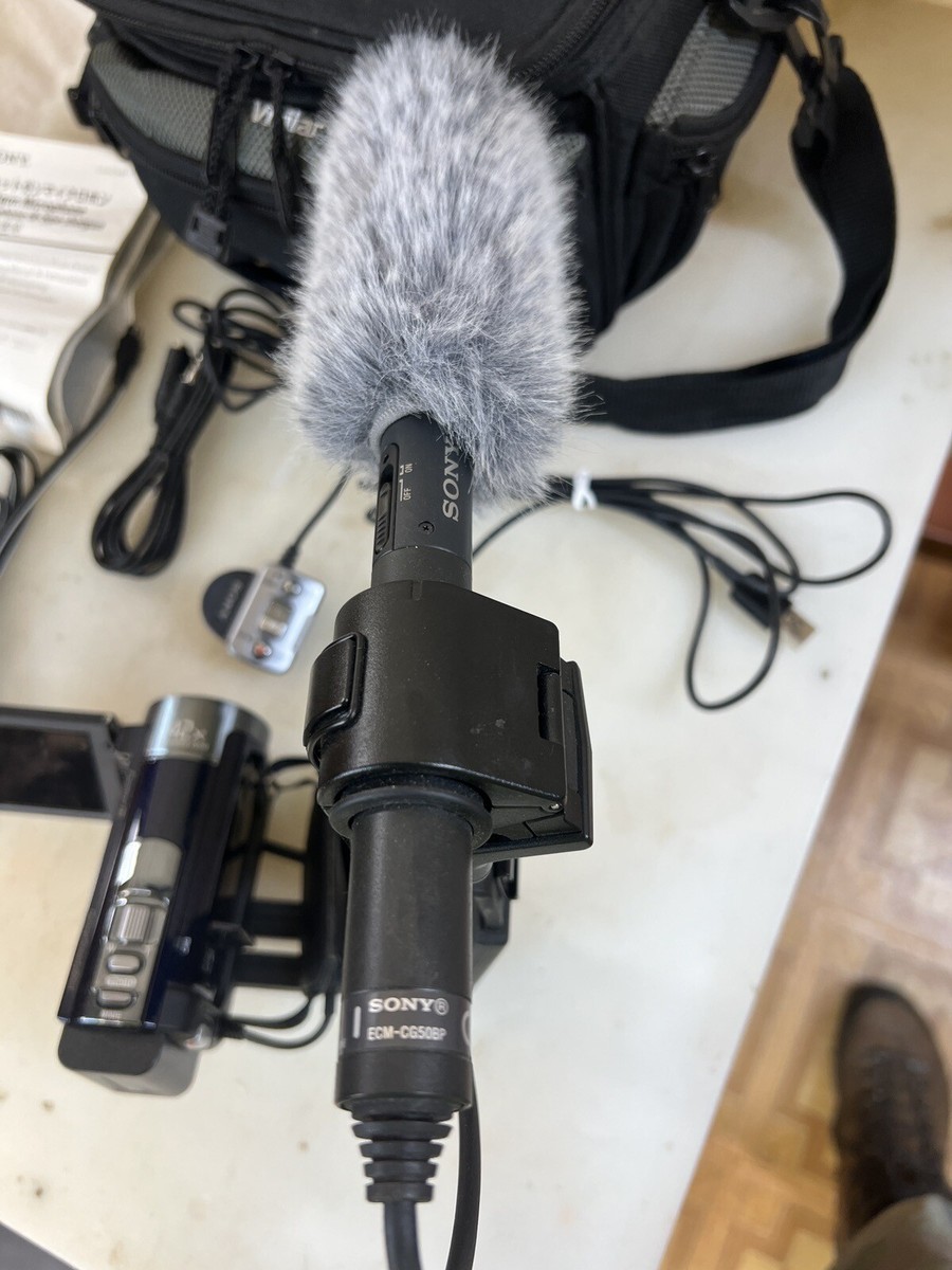 Sony Handycam HDR-CX160 3.3 MP 1080p 30x Optical Zoom Camcorder