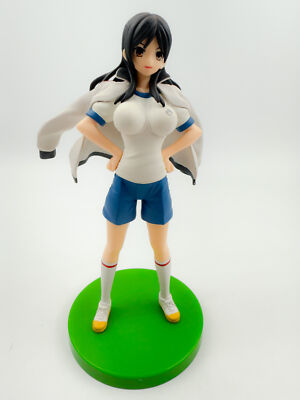 A Certain Magical Index Seiri Fukiyose Extra Figure SEGA Prize 18cm Toaru