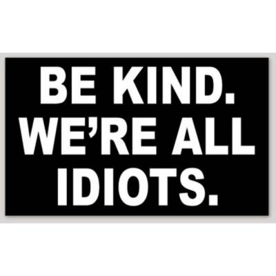 Be Kind We're All Idiots 3x5 Vinyl Sticker Bumper Decal