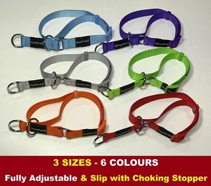 choking leash