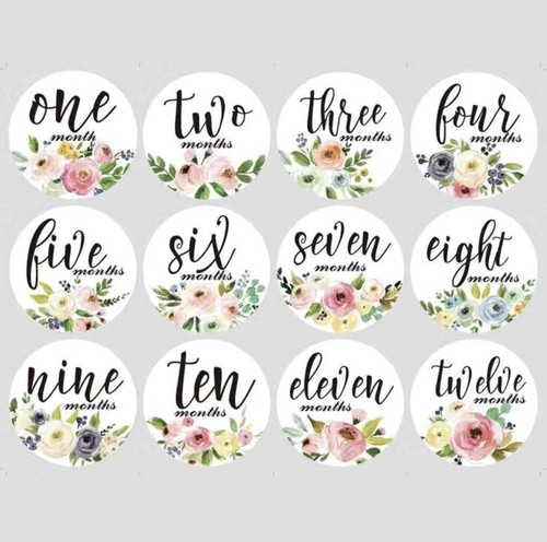 Milestone Monthly Stickers, Newborn Baby 1-12 Months Photo Props - Picture 2 of 4
