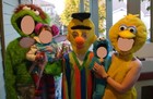 Bild 5 von 5